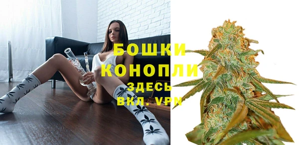 спиды Арсеньев