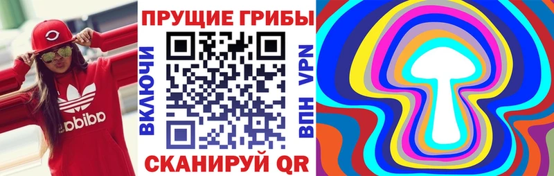 Псилоцибиновые грибы Psilocybe  блэк спрут зеркало  Новодвинск 